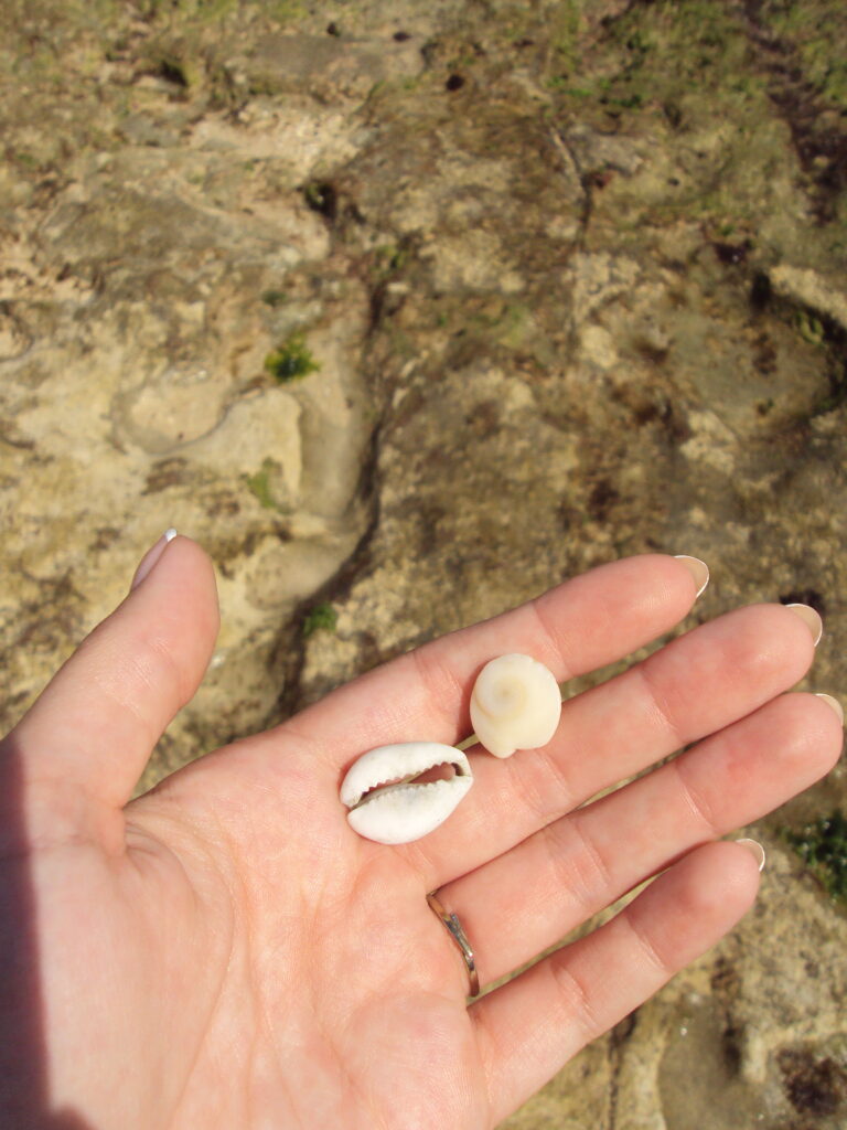 SUZ Marketing Communicatie Texel